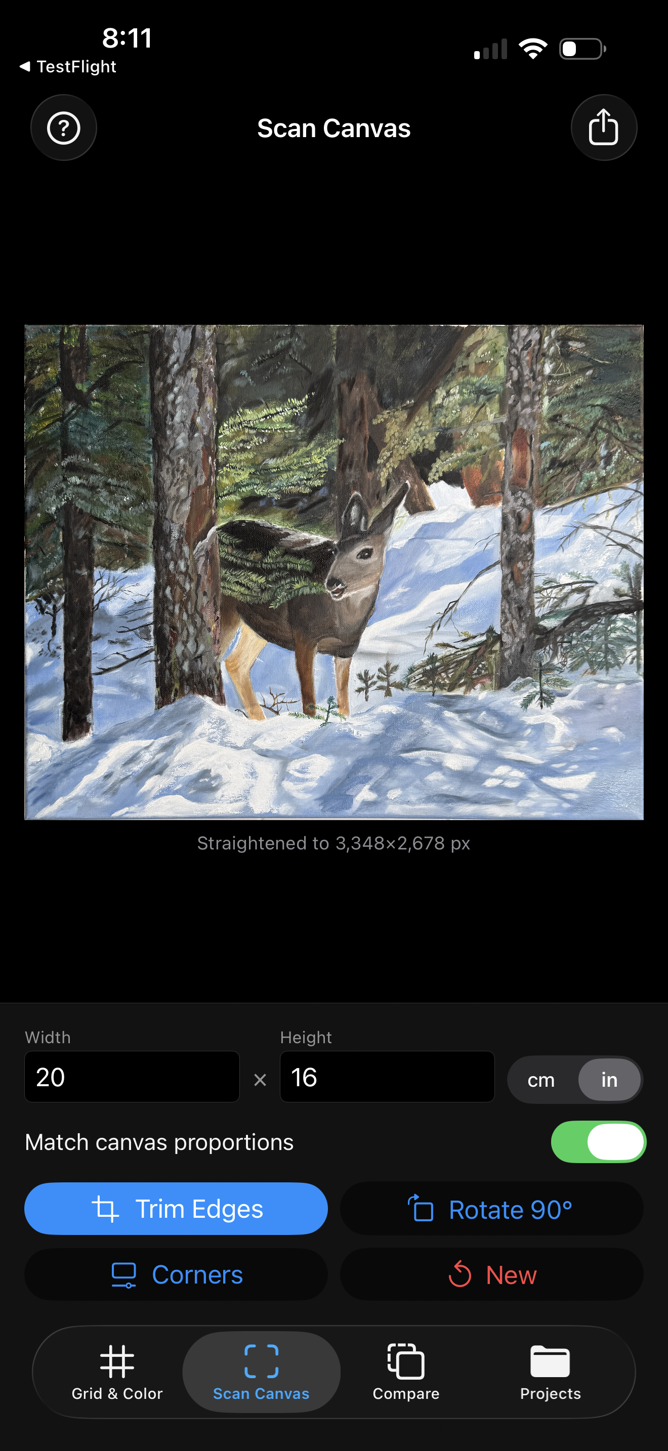 Scan Canvas — perspective-correct your canvas photo