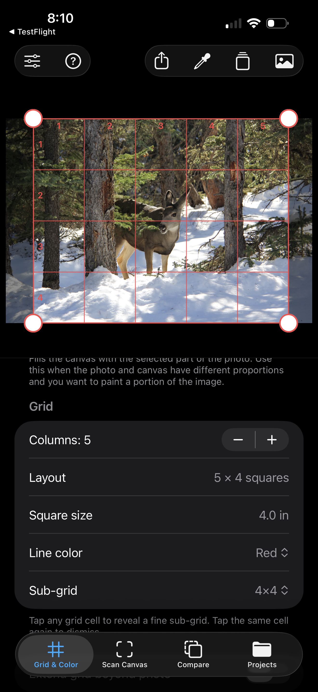 Grid method overlay on reference photo